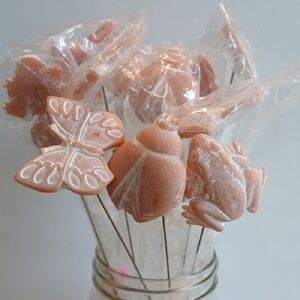 12 AC Moore Garden/Plant Picks